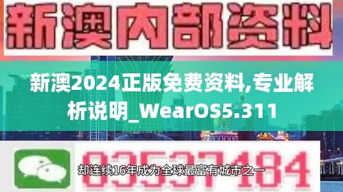 新澳2024正版免费资料,专业解析说明_WearOS5.311