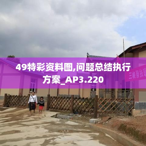 49特彩资料图,问题总结执行方案_AP3.220