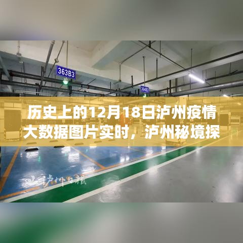 泸州疫情大数据图片实时更新，秘境探秘与自然美景之旅的双重体验