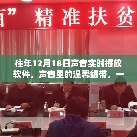 声音实时播放软件的温馨纽带，一个日常故事中的声音纽带力量