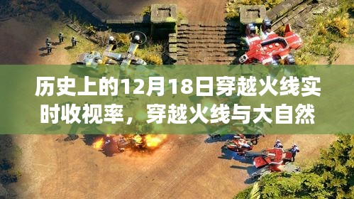 穿越火线实时收视率之旅，大自然的密约与内心平静的探寻