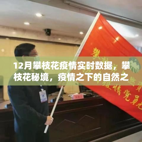 攀枝花疫情实时数据与秘境探索，疫情之下的自然之旅与内心宁静港湾