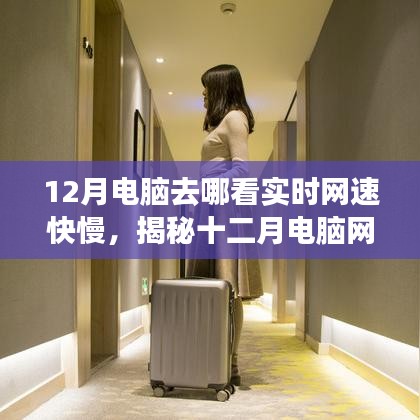 揭秘十二月电脑网速真相，实时网速观察指南