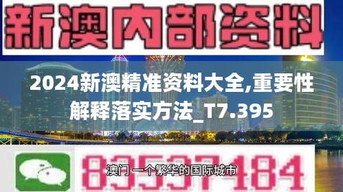 2024新澳精准资料大全,重要性解释落实方法_T7.395