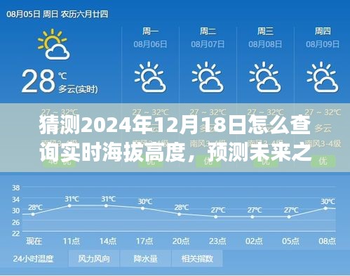 揭秘，如何查询2024年12月18日实时海拔高度，预测未来之巅的攻略与技巧