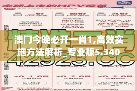 澳门今晚必开一肖1,高效实施方法解析_专业版5.340