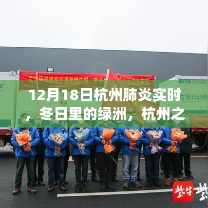 杭州肺炎实时观察，冬日绿洲之旅，探寻肺炎阴影下的自然宁静