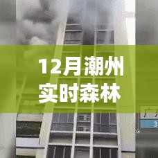 潮州秘境火灾危机，森林火灾与小巷特色小店的背后故事