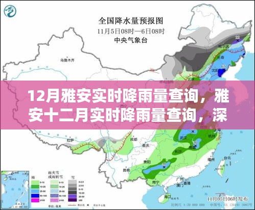 雅安十二月实时降雨量查询，深度分析与观点阐述
