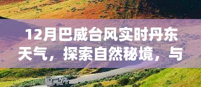 巴威台风影响下的丹东冬日之旅，探索自然秘境，追寻内心宁静