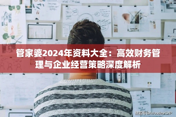 管家婆2024年资料大全：高效财务管理与企业经营策略深度解析