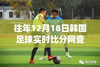 冬日暖阳下的足球情缘，12月18日韩国足球实时比分查询之旅