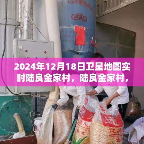 卫星地图下的陆良金家村时光印记，实时观察与时光印记的融合