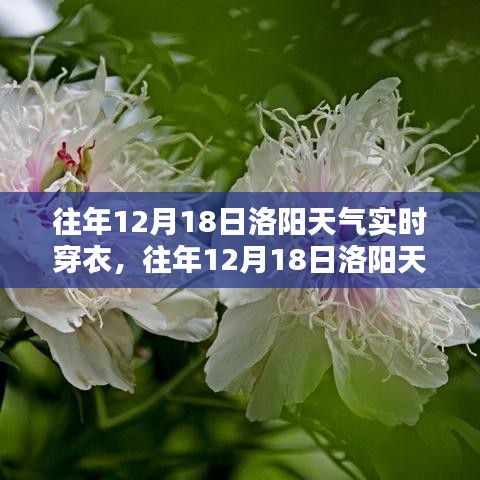 往年12月18日洛阳天气实时分析与穿衣指南，今日穿衣建议及天气预报参考