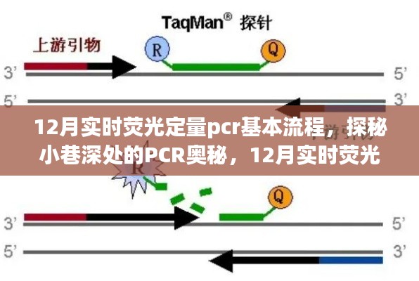 鬼张鬼智 第3页