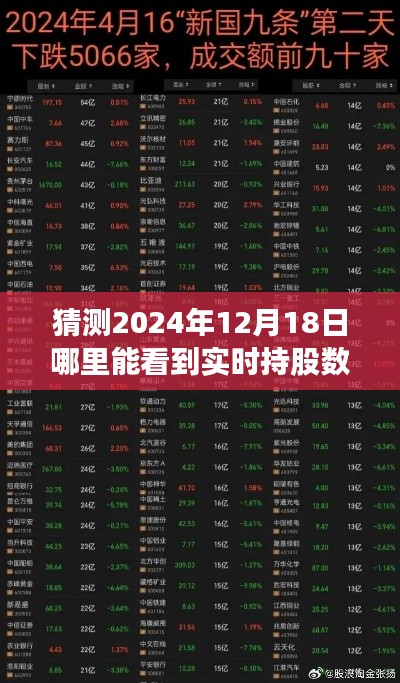 揭秘未来，预测与观察点——2024年12月18日实时持股数量变动展望