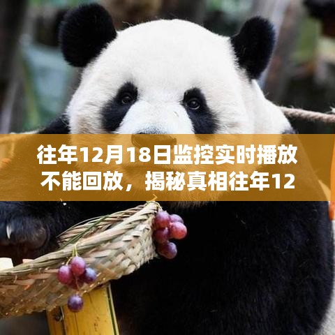 揭秘，历年12月18日监控实时播放无法回放的原因及解决方案探究
