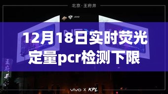 探秘小巷深处的神秘小店，揭秘实时荧光定量PCR检测下限的独特之旅。