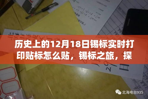 破马张飞 第3页