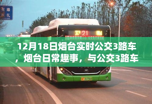 烟台公交3路车的温暖邂逅与日常趣事分享