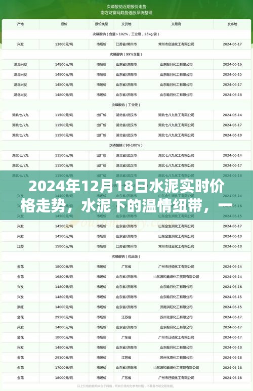 水泥温情纽带，探寻价格走势的日常之旅