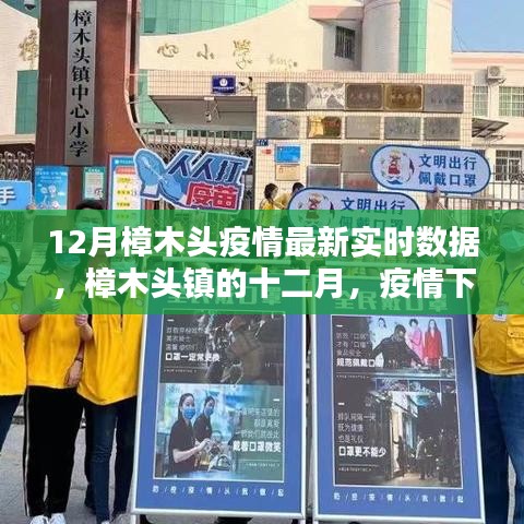 樟木头镇十二月疫情实时数据，温情日常与友情纽带下的抗疫之路
