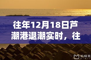 往年12月18日芦潮港退潮实录，潮汐魅力展现海洋奇观