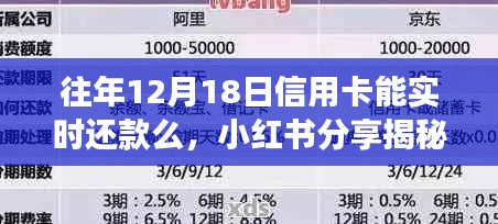 揭秘往年12月18日信用卡实时还款秘籍，小红书分享助你轻松应对还款准备！