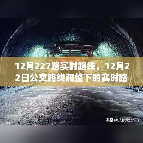 纲举目张 第3页