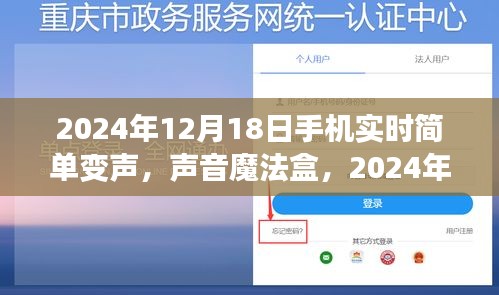 声音魔法盒，2024年手机实时简单变声功能全面评测
