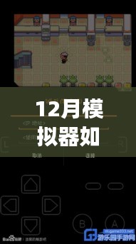 零基础操作指南，12月模拟器网络实时连接全攻略