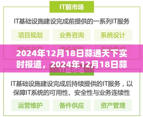 自然探秘之旅，寻找内心的平和与宁静——蒜通天下实时报道