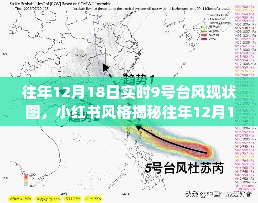 小红书风格揭秘，超强台风背后的故事与影响——往年12月18日实时台风现状图展示
