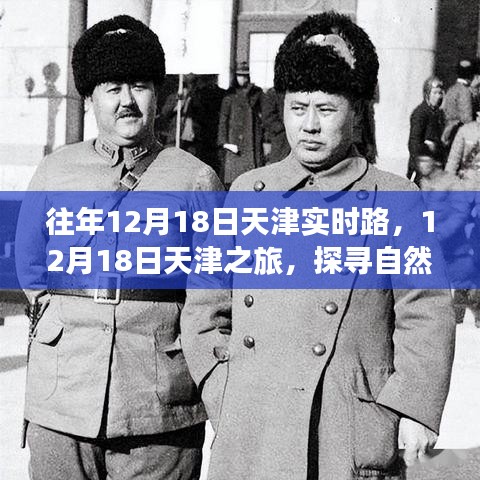 天津之旅，探寻自然美景，重拾内心的宁静与平和在往年12月18日的天津实时路体验