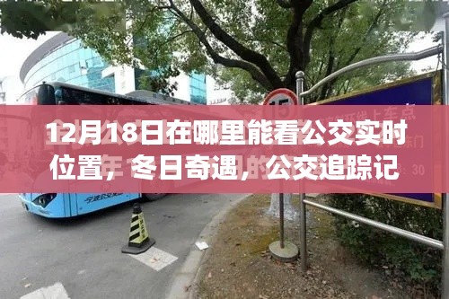 冬日暖心公交之旅，实时追踪与朋友共度时光