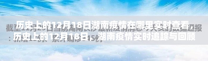 历史上的12月18日湖南疫情实时追踪与回顾，疫情数据深度剖析