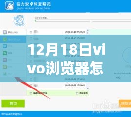 如何在vivo浏览器中去除实时热搜功能，详细步骤指南（针对12月18日更新）