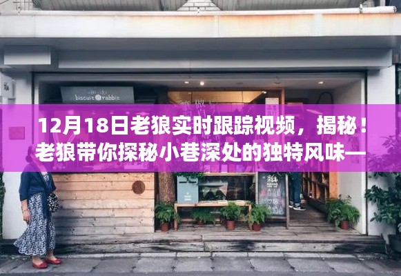 老狼带你探秘隐藏版特色小店，实时跟踪故事揭秘小巷深处的独特风味