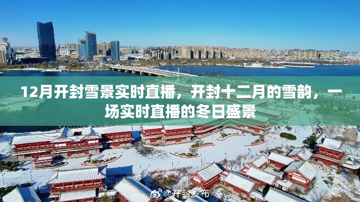 开封十二月雪韵盛景，实时直播开封雪景的冬日盛况