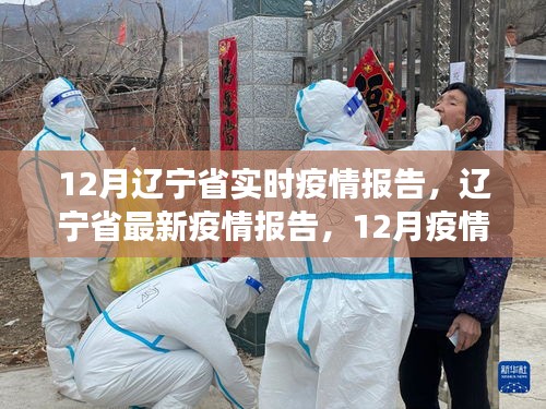 辽宁省最新疫情报告，十二月动态与防控进展
