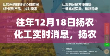 扬农化工的成长旋律，奋斗之歌与变化中的学习之源