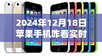 苹果手机查看实时流量的方法与技巧（适用于2024年）