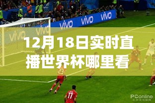 世界杯狂欢日，实时直播观看指南与探索自然美景之旅