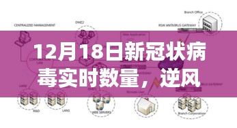 逆风翱翔，新冠状病毒实时数量背后的希望与成长（12月18日更新）