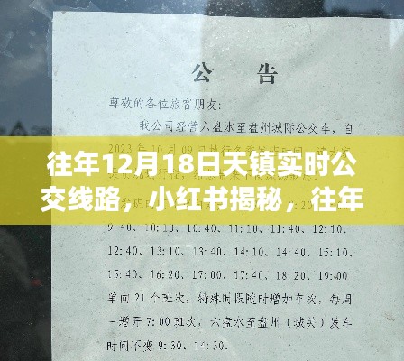 小红书揭秘，往年12月18日天镇实时公交线路全攻略与实时动态🚌