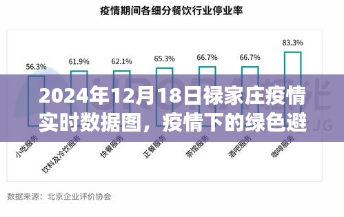 禄家庄疫情实时数据图与绿色避风港的自然探索之旅