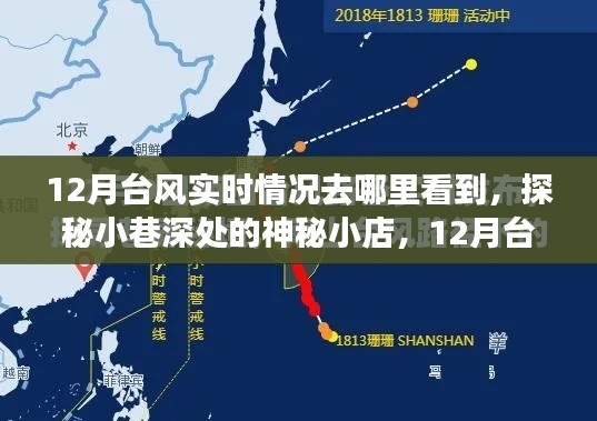 探秘神秘小店与台风追踪之旅，十二月台风实时动态解析