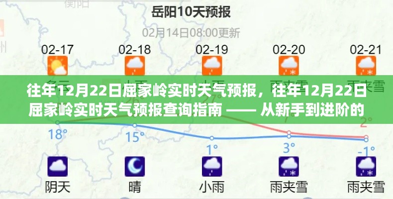 查询指南