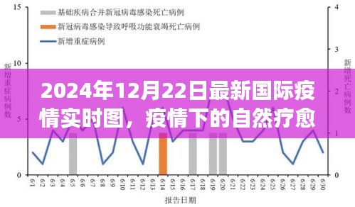 疫情下的自然疗愈与环球旅行之旅，国际疫情实时图下的心灵探索（2024年12月）