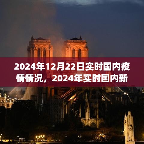 从某某视角看，2024年12月22日国内新冠疫情实时情况及分析